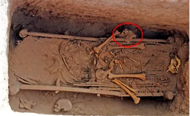 O armură din piele găsită în China, de origine neo-asiriană, îi uimește pe istorici