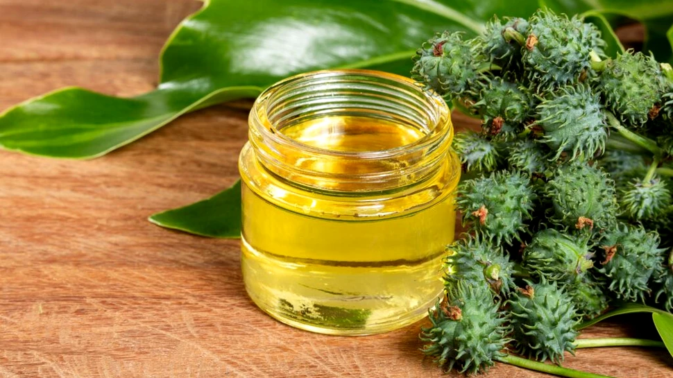 Uleiul de ricin: ce beneficii sunt cu adevărat susținute de știință?