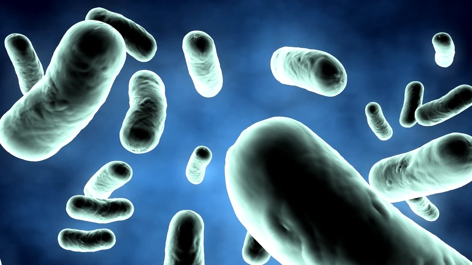 Prezenţa oamenilor umple spaţiile închise cu bacterii