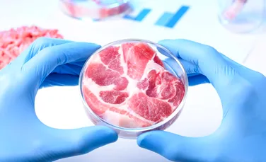 Carnea de laborator ar putea fi de 25 de ori mai nocivă pentru mediu decât carnea de vită