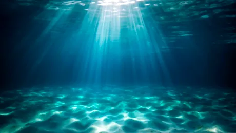 Oceanele lumii se întunecă, dezvăluie un studiu îngrijorător