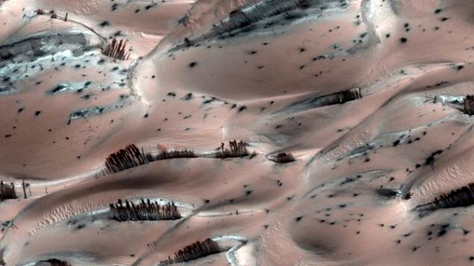 Ce sunt misteriosii arbori de pe Marte? (FOTO)