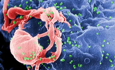 Reuşită excepţională: leacul pentru HIV, „la câteva luni distanţă de realitate”