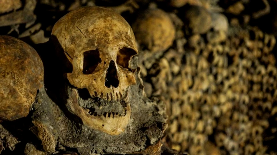 Arheologii au reconstituit trăsăturile faciale ale unei regine peruviene de acum 1.200 de ani. ”Când am văzut pentru prima dată reconstrucţia, i-am văzut pe unii dintre prietenii mei”