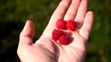 Care sunt obiceiurile alimentare care te pot îmbătrâni mai repede și cum să le corectezi?