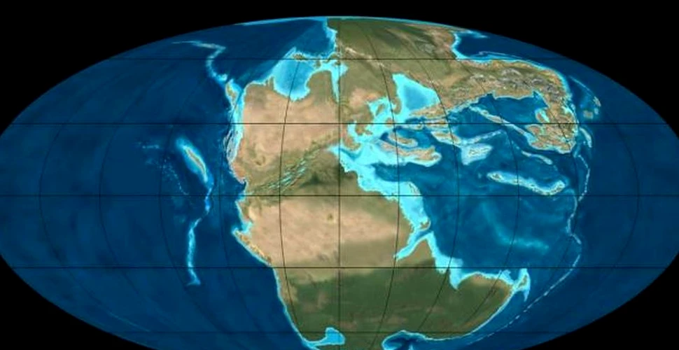 Descoperirea unui craniu fosilizat poate oferi noi informaţii despre primele mamifere şi divizarea supercontinentului Pangaea
