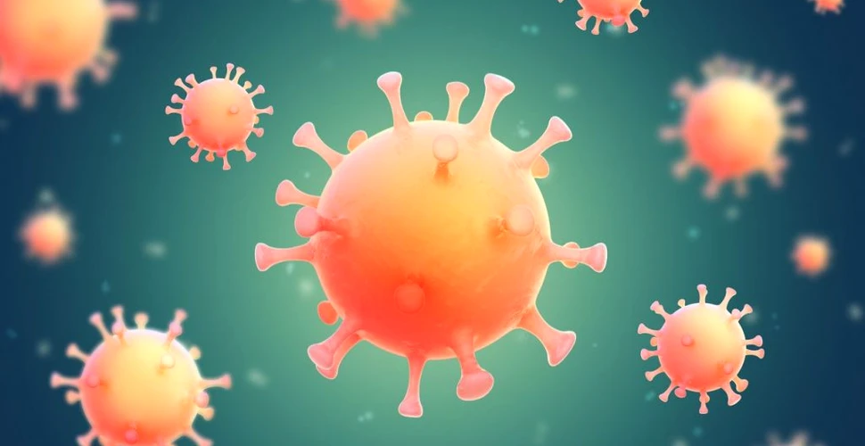 Tot ce trebuie să știi despre virusul Marburg, asemănător cu Ebola