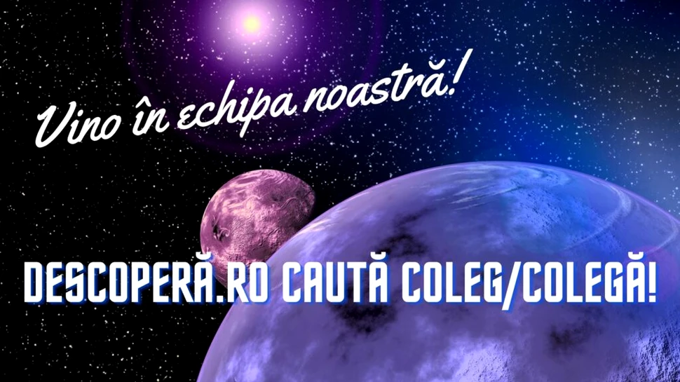 Vino în echipa noastră! Echipa DESCOPERĂ.RO caută coleg/colegă