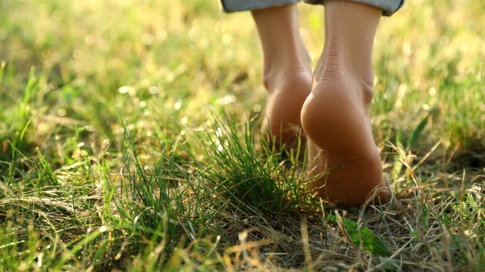 Un studiu de la Harvard spulberă mitul celor 10.000 de pași pe zi