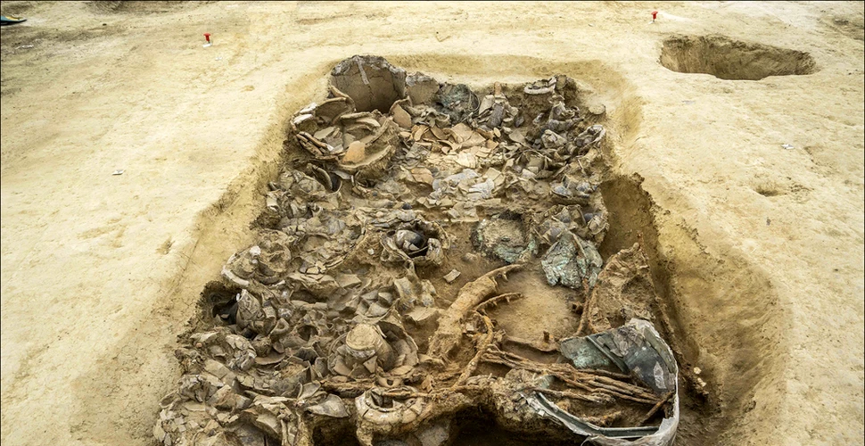 Artefacte dintr-un mormânt princiar al poporului Piceni, expuse pentru prima dată