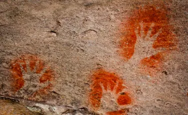 Cea mai veche artă rupestră din lume, descoperită într-o peșteră din Indonezia