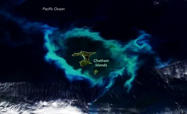 Un inel uriaș de plancton care înconjoară mai multe insule din Oceanul Pacific, observat din satelit