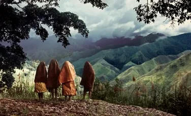 10 ani de pruncucideri in jungla papuasa