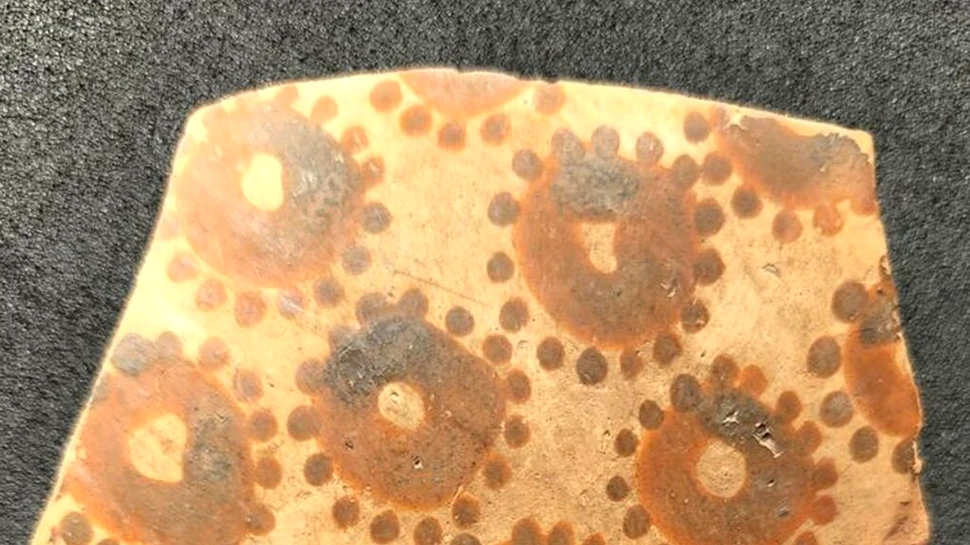 Cea mai veche artă botanică cunoscută dovedește o gândire matematică timpurie