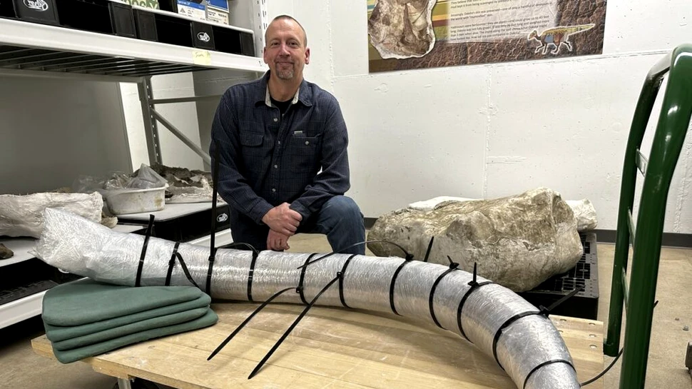 Un colț uriaș de mamut, găsit din întâmplare de minerii dintr-un stat american