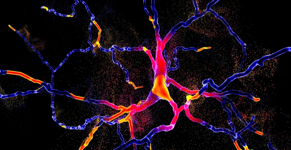 Epilepsia genetică ar putea fi tratată prin înlocuirea unei enzime „lipsă”