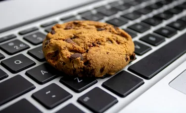 Inventatorul cookie-urilor care urmăresc tot ce facem pe Internet le-a creat cu alt scop