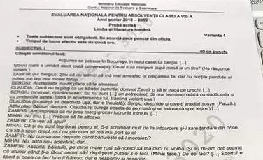 Evaluarea Naţională 2019. Subiectele la proba scrisă la Limba şi literatura română de la Evaluare