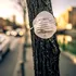 Capitala României, tot mai sufocată. Riscuri mari pentru bucureșteni