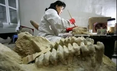 El Dorado-ul dinozaurilor, descoperit in China