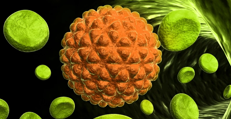 Descoperire neaşteptată realizată de savanţi: cancerul de colon este stimulat de bacterii