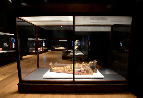 Imaginile care prezintă interiorul unei mumii