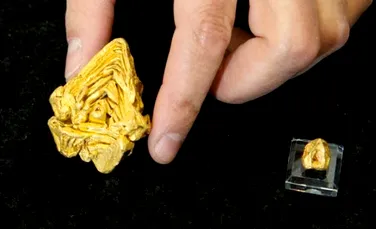 Ce este deosebit la această bucată de aur nativ, descoperită în Venezuela? (VIDEO)