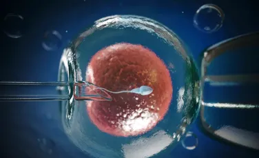 Spermatozoizii și ovulele cultivate în laborator le-ar putea permite în curând părinților să își personalizeze copiii