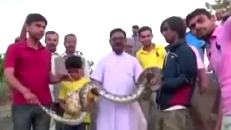 Cum s-a răzbunat un piton după ce a fost forţat să facă un selfie