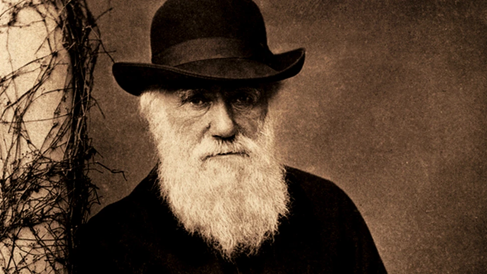 Darwin nu a afirmat că omul se trage din maimuţă. Cine ar fi strămoşul oamenilor?