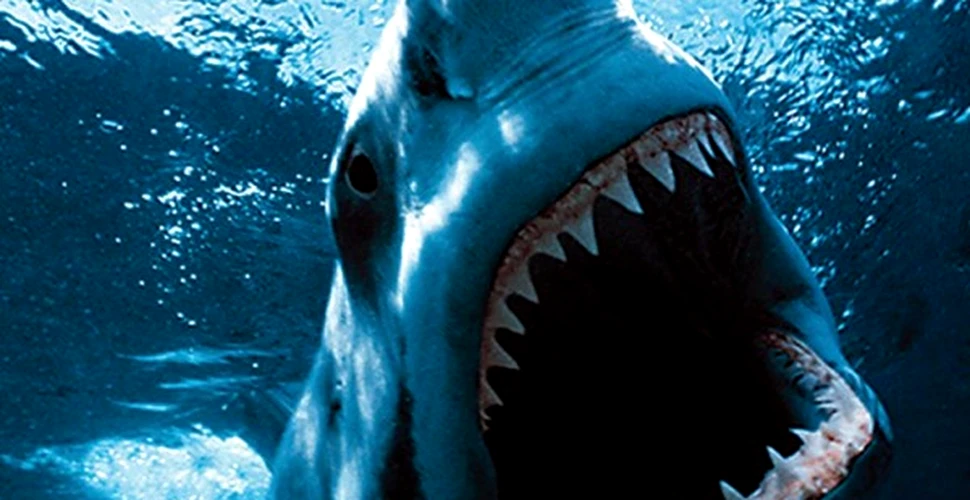 Aparitia rechinilor albi – o inselatorie