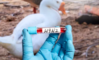 Italia a confirmat primul caz uman de gripă aviară H9N2 din Europa