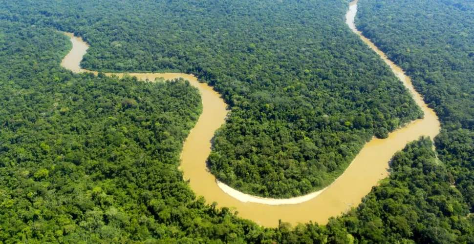 Mii de structuri antice s-ar putea ascunde sub Amazon