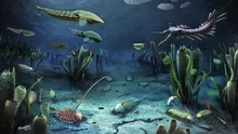 Un studiu ar fi descoperit unul dintre cele mai importante momente din evoluția vieții pe Pământ