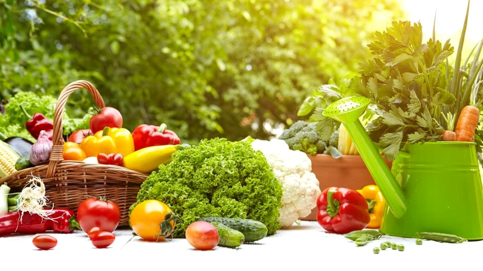 O tânără din Cluj a renunţat la jobul din corporaţie pentru agricultură. Acum produce legume bio pe terenul bunicilor