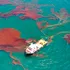La 16 ani de la dezastrul petrolier Deepwater Horizon, viața din adâncurile Golfului Mexic nu dă semne de refacere