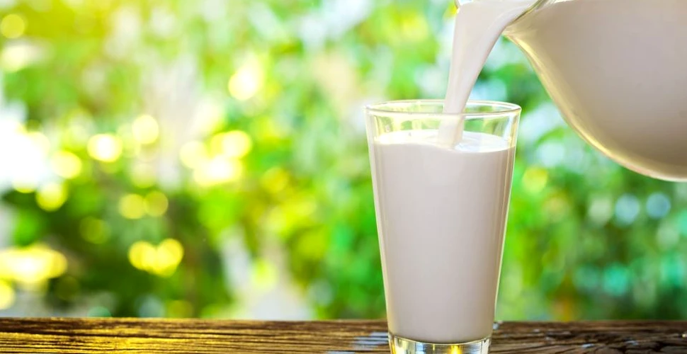 Iată ce se întâmplă în corpul tău atunci când bei lapte zilnic