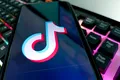 De ce Parlamentul Franței recomandă interzicerea TikTok pentru copiii sub 15 ani