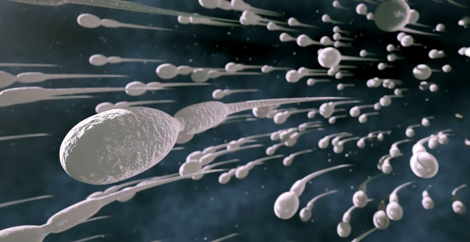 NASA a trimis spermă umană către Staţia Spaţială Internaţională. Studiul în premieră care va fi realizat de cercetători