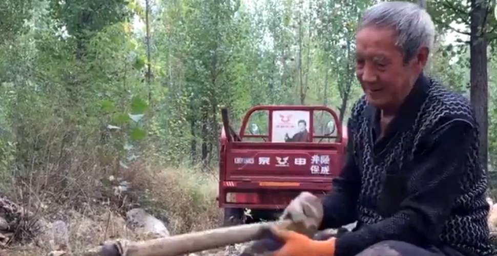 Un bătrân cu ambele picioare amputate a plantat de unul singur peste 17.000 de copaci