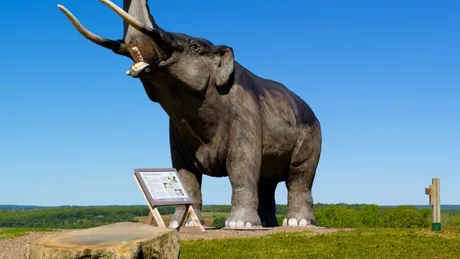 Pădurile sud-americane „plâng” și acum după mastodonți