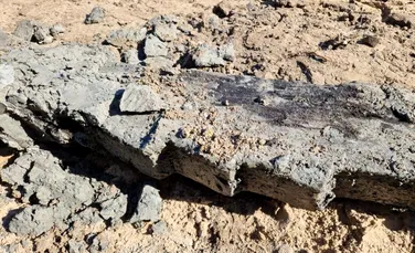 Muncitorii de la o rețea de canalizare au descoperit lemn dintr-o navă vikingă