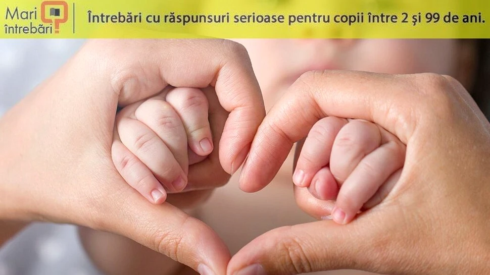 De ce avem câte 10 degete la mâini și la picioare?