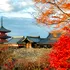 Profeția care a speriat turiștii din Japonia