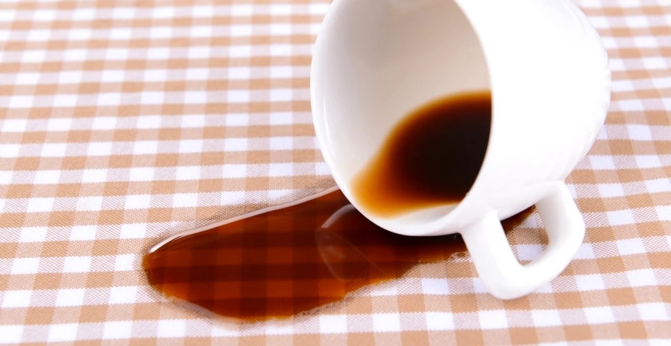 Ceaşca de cafea de dimineaţă este în pericol. O boală devastatoare, numită „rugina cafelei”, nimiceşte plantaţiile de cafea