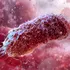 Un compus produs de bacteriile intestinale ar putea accelera modificările asociate bolii Alzheimer