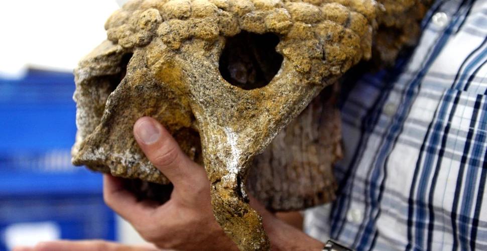 O faună fioroasă de animale enorme: cu cine împărţeau Pământul oamenii preistorici din America de Sud?