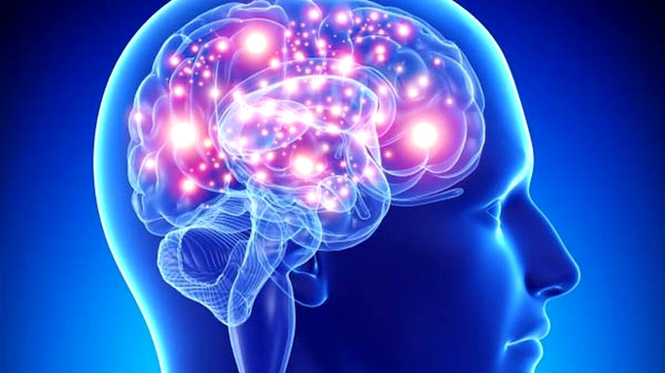 Jocul de bridge, antidotul bolii Alzheimer?