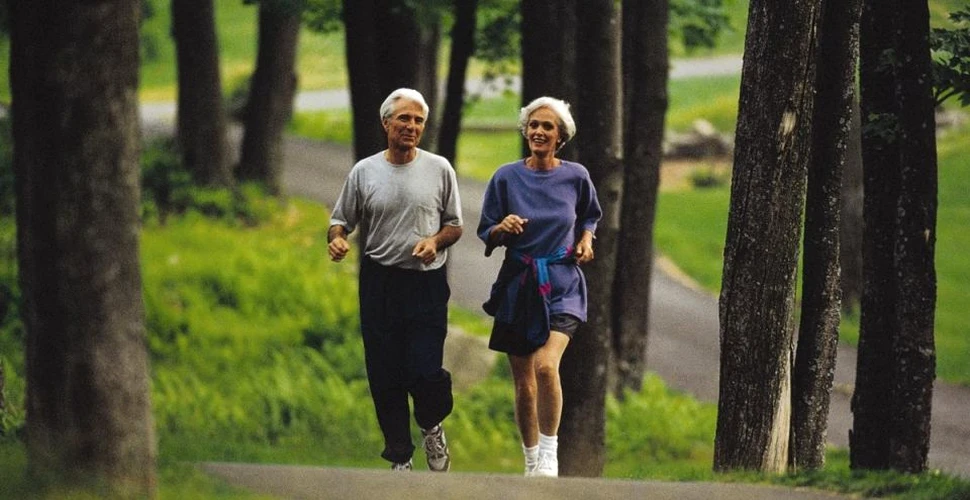 Activităţile sportive sunt importante la orice vârstă. Cum influenţează acestea structura creierului persoanelor adulte