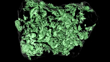 NASA dezvăluie un fenomen bizar ascuns în interiorul bolovanilor de pe asteroidul Bennu